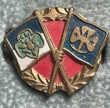 VINTAGE GIRL SCOUT 1956 FRIENDSHIP PIN GS1 picture