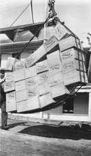 Loading boxes of salmon Petersburg between circa 1900 and circa 1930 Old Photo picture