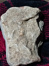 Natural Rock Favoring Donald Trump.   It's A Very Good Rock   A Great Rock  picture
