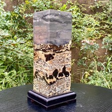 17.6LB  Rare National Treasure Fossil - Authentic Collectible Stone Specimen picture