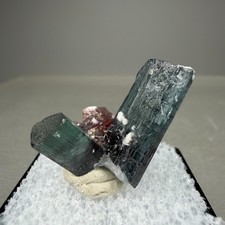 Nice Gemmy Blue Tourmaline Crystal Group: Minas Gerais, Brazil- Classic picture