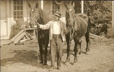 Ashland RI Postmark Scituate  Man with Two Horses c1913 Real Photo Postcard picture