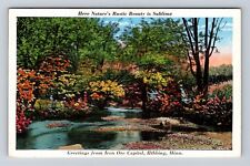 Hibbing MN-Minnesota Scenic Greetings, River, Iron Ore Capital, Vintage Postcard picture