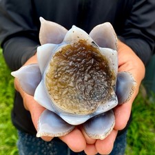 242G Natural Agate Geode Carved Lotus Flower, Hand Carved Healing Crystal Hom picture