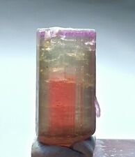 Double terminated tri  colour watermelon tourmaline crystal - 12 carats picture