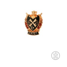 Vintage 10k Yellow Gold DeMolay Past Masonic Balfour Pin with Ruby and Pearl picture
