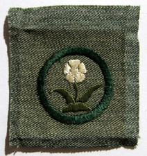 RARE 1928-1933 Girl Scout WILD FLOWER FINDER BADGE White Anemone Patch SQUARE picture