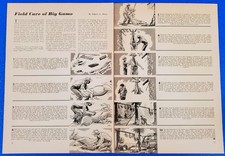 1956 Field Care Big Game After the Kill 2 PG Article Deer Hunting Meat Prep DIY picture