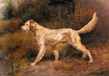 Oil painting dog art Commissioner-A-Champion-English-Setter-Edmund-Henry-Osthaus picture