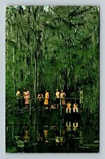 Sebring FL-Florida, Creek In Hammock State Park, c1981 Vintage Postcard picture