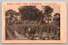 Red Lion Inn Garden Larchmont NY Boston Post Road Postcard Westchester County picture