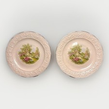 Rare Edwin M. Knowles 6-Inch Roselace 82-9 Plates, Vintage (Set of 2) picture