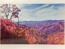 Postcard Panoramic Vista In Early Fall Smoky Mountains National Park Unused picture