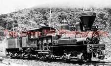 Meadow River Lumber Co. #3 Shay Anjean WV Wallace Johnson New 5x8 Photo picture