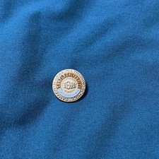 1922 Temple University Samaritan Hospital Training School 14k Nurse Pin picture