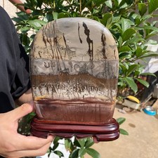 2.9lb Natural Dendritic Limestone Picture Stone Chinese painting stone specimen picture