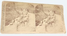 Underwood Stereoview A Holiday Jaunt In A Horseless Carriage Coamo Puerto Rico picture