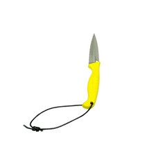 Spyderco Aqua Salt Yellow Fixed Blade Knife H-1 Steel SpyderEdge Seki City Japan picture