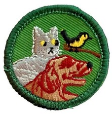 JUNIOR Girl Scout Patch Badge Green Round--PET CARE pets Dog Cat Bird fish Vtg picture