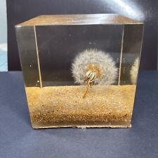 Dandelion Flower Seed Puff Ball Resin Epoxy Square Retro Paperweight Handmade picture