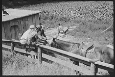 Campton,Wolfe County,Kentucky,KY,Farm Security Administration,1940,FSA,22 picture