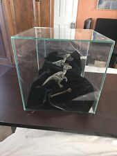 Raptor Ulna Dinosaur Fossil (In Classic Display Case W/ Small Model Dino) picture