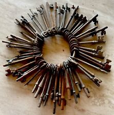 Antique Vtg 19th Century Cast Iron Skeleton Keys Lot of 117 Different Type/Size picture