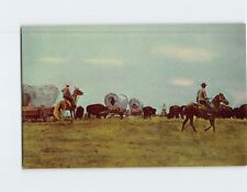Postcard Round Up Time Buffalo Ranch North Carolina USA picture