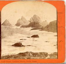 J.J. Reilly, Lyall Group, Farallone Islands, Pacific Ocean--Stereoview D114 picture
