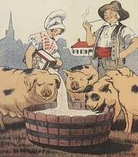 Antique French La Normandine Pig Feed Supplement Box 🐖 NOS c1910s Farmhouse picture