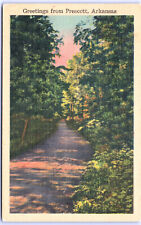 Postcard  AR Greetings From Prescott Arkansas Forest Road c.1940's J12 picture
