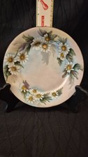 Antique BRC Bavaria Hand Painted Daisy Plate Gold Gilt Rim Porcelain Germany picture