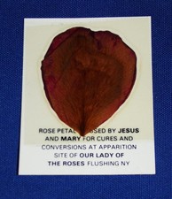 6 Holy Rose Petal Cards Blessed by Jesus & Mary Cures & Conversions - Bayside NY picture