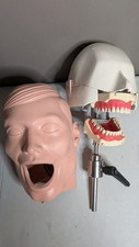 VTG Columbia Dentoform Dental Phantom Head Display W/ Pole Metal Shroud (#8) picture