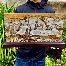 10.47LB Beautiful Natural Chinese Dendritic Limestone Picture Stone Guohua-Rare picture