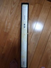 Domu Katsuhiro Otomo AKIRA Limited 5000 Deluxe Edition B4 manga Book Vintage picture