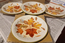 Longaberger Luncheon Plate - Fall Foliage - 4 available MINT picture