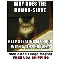 855 - Funny Cat Meme Fridge Refrigerator Magnet picture