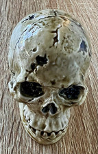 Skull Shaped Hinged Trinket Box Gold Tone Metal Interior Container picture