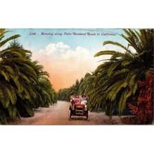Vintage Edward H. Mitchell Motoring Palm Bordered Roads California Postcard picture