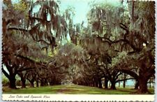 Postcard - Live Oaks and Spanish Moss - Deep South picture