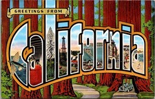 d98 California Vintage Greetings Travel Postcard Refrigerator Magnet picture
