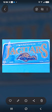 VINTAGE 1996 Jacksonville Jaguars Embossed Metal License Plate Tag Express New picture