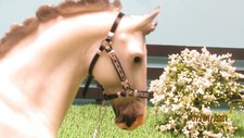 Jaapi 2021 SR halter, fits Northern Tempest, Breyer model Breyerfest BLACK picture