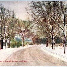 c1900s Chicago, IL Lincoln Park Winter Scene Conservatory Road Litho Postcard picture
