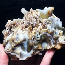 933G Natural China's Gobi Desert Gobi Agate Eyes Agate Crystal Healing L5559 picture