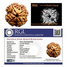 ShivaRatna 4 Mukhi X Ray Certified Rudraksha Bead - Nepal Origin - Hand Picked picture