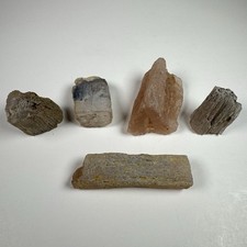 Lot of 5 Paulina Oregon Agatized Limb Cast Petrified Wood Chalcedony Specimens picture