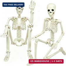2 Pack 3ft Posable Plastic Halloween Skeleton-36