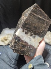 Petrified Wood w/ Chunks of Crystallization Specimen (8lbs 13oz) picture